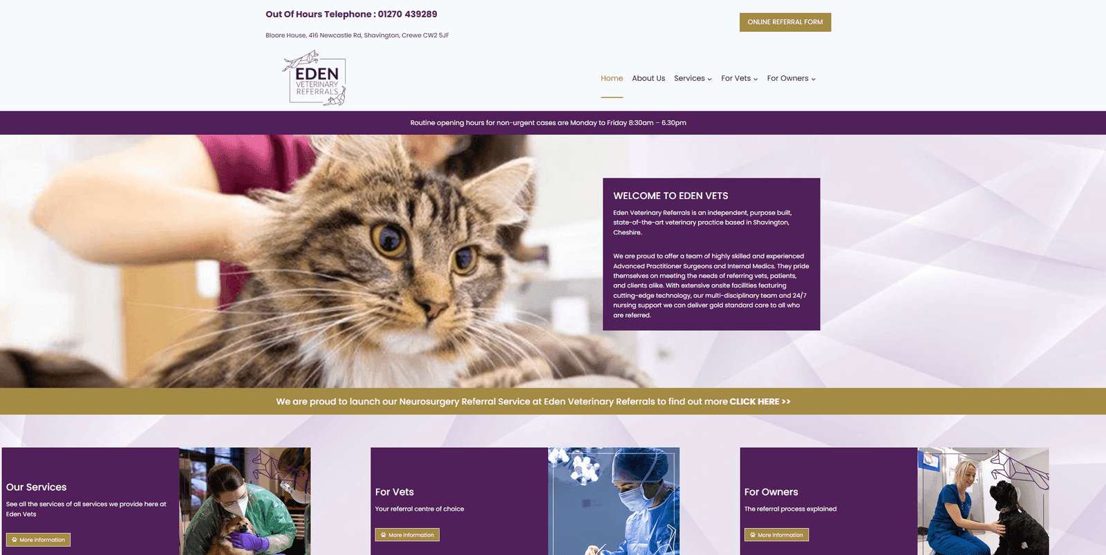 Eden Vets Referrals case study showing results from SEO
